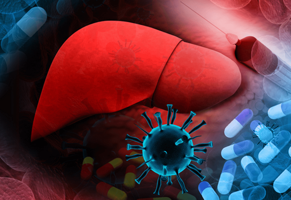 Hepatite C Causas Sintomas E Tratamentos ATUALIZADO