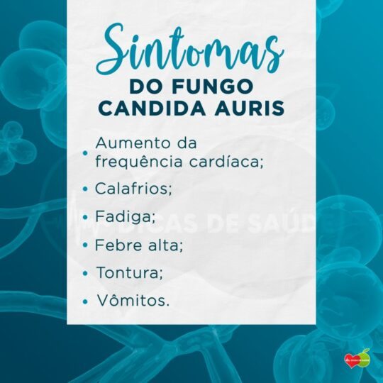 Candida Auris Onde Surgiu Sintomas Diagn Stico E Tratamento Dicas