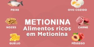 Alimentos ricos em metionina