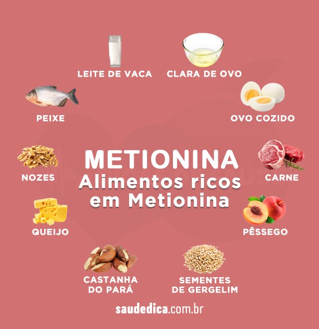 Alimentos ricos em metionina