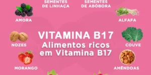 alimentos-ricos-em-vitamina-b17