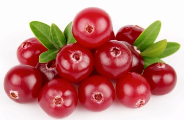 Benefícios da Cranberry Para que Serve e Características Dicas de Saúde