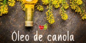 óleo de canola