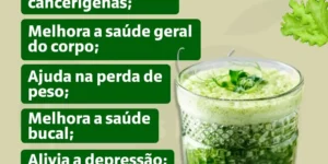 Benefícios do Suco de Couve