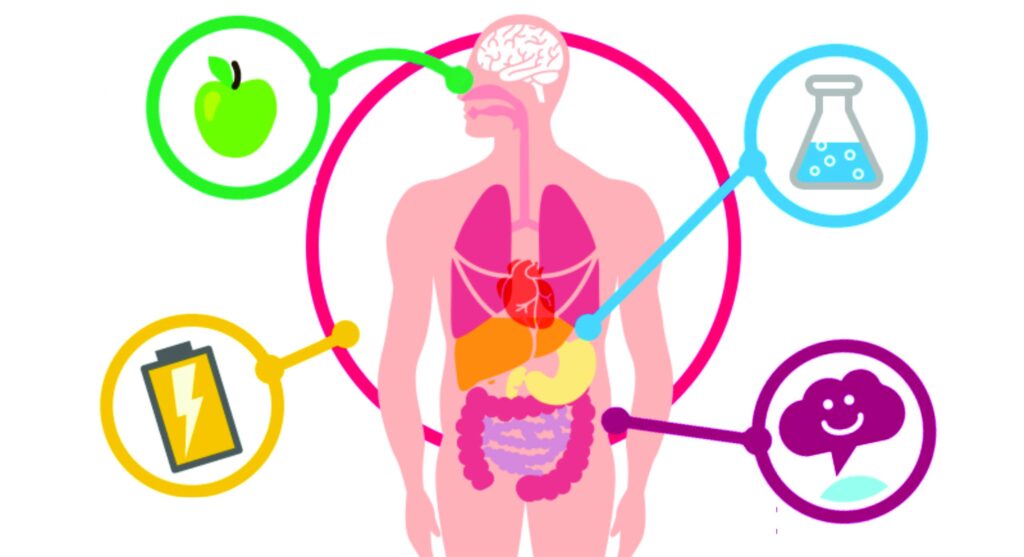 30 Alimentos Que Aceleram O Metabolismo | Dicas De Saúde