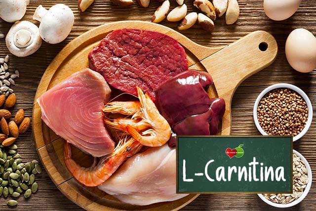 l carnitina