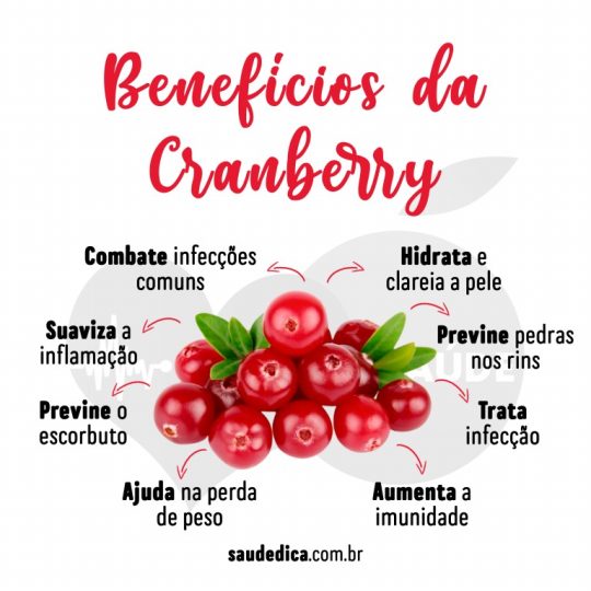 Chá De Cranberry Faz Bem Para Imunidade, Olhos, Estresse: Veja Os Seus ...