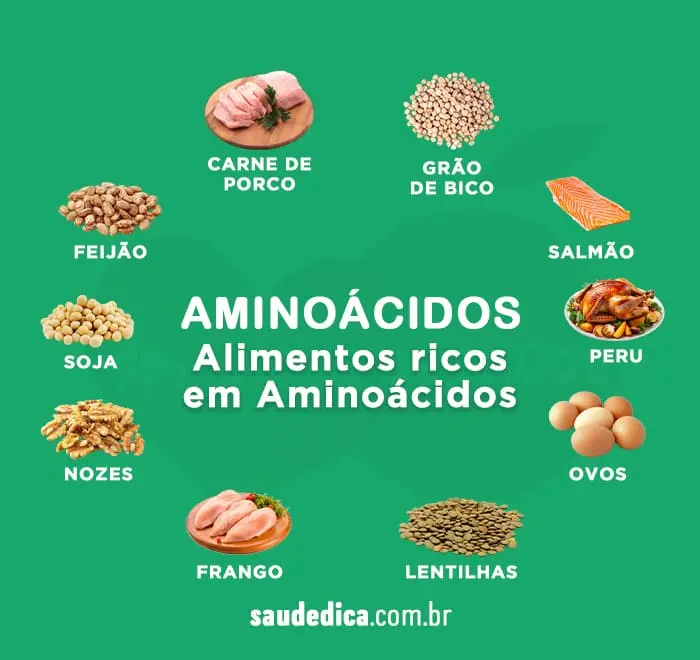 alimentos-ricos-em-aminoacidos