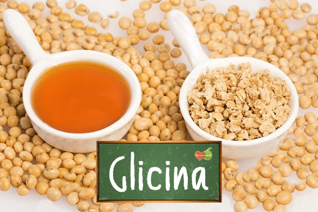 Glicina: o que é, alimentos, 16 benefícios e para que serve?