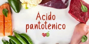 ácido pantotênico (vitamina B5)