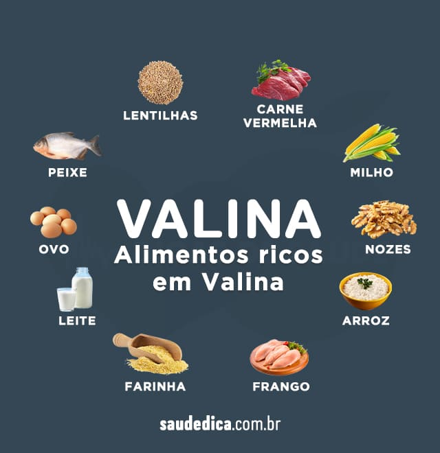 Alimento Ricos em valina