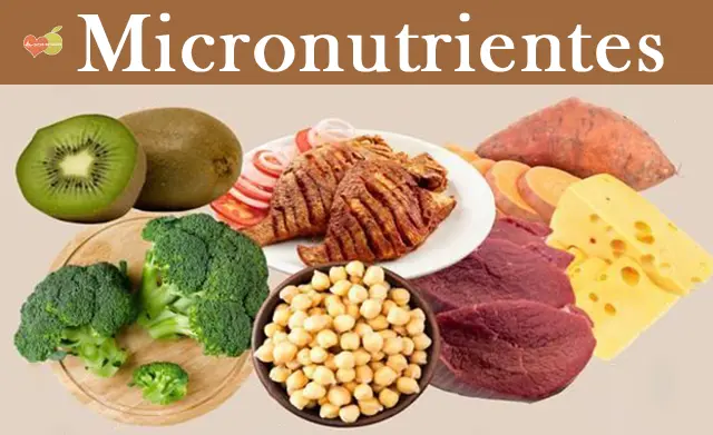 micronutrientes