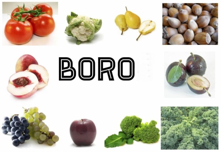 8 Benefícios Do Boro - Como Tomar E Para Que Serve! | Dicas De Saúde