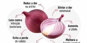 Benefícios da ceboola Roxa