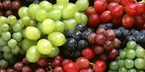 Tipos-de-uvas