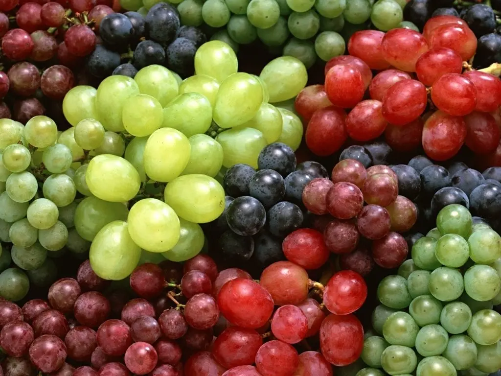 Tipos-de-uvas