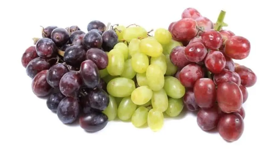 Tipos-diferentes-das-uvas