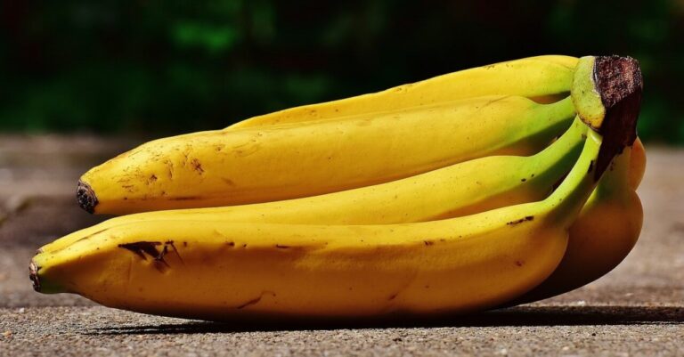 Tipos De Banana 13 Variedades Características E Informações Dicas