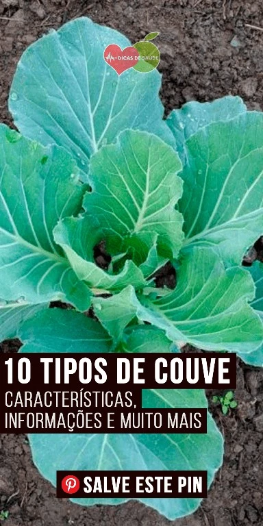 tipos-de-couve