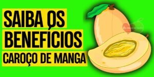 caroço de manga