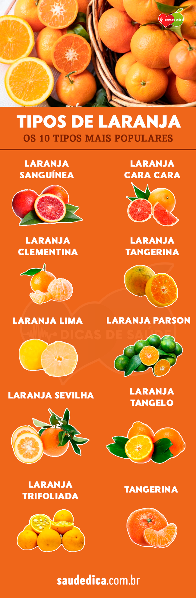 Tipos de laranja