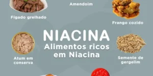 Alimentos ricos em niacina 