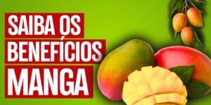 manga fruta