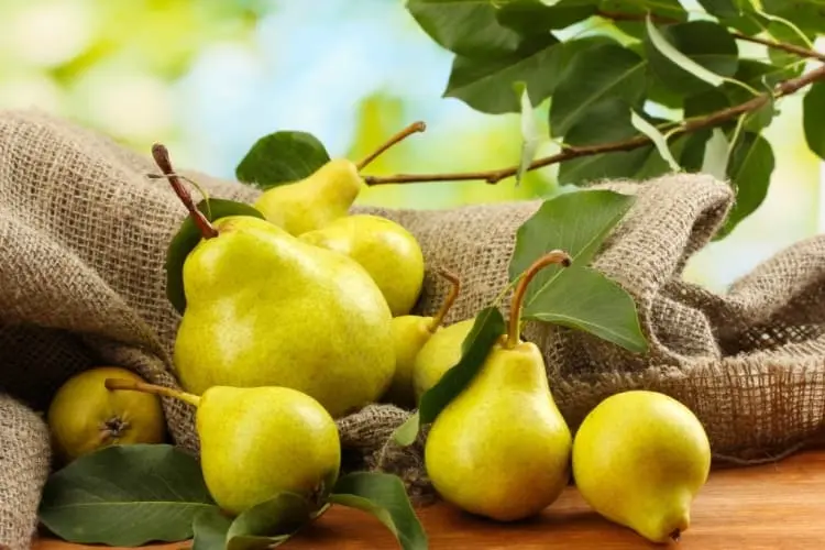 beneficios da vitamina de pera