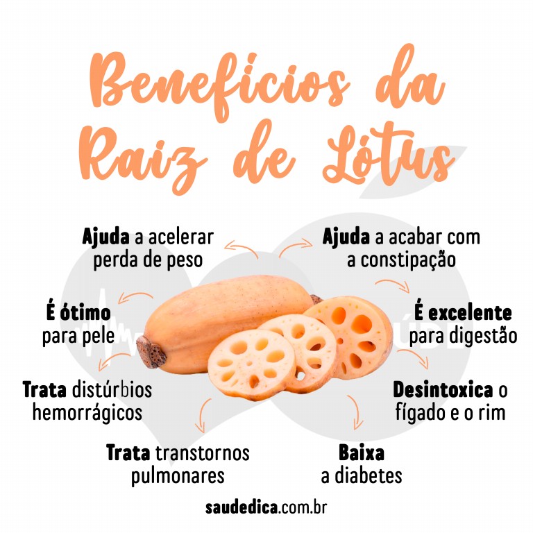 Benefícios do chá de raiz de lótus