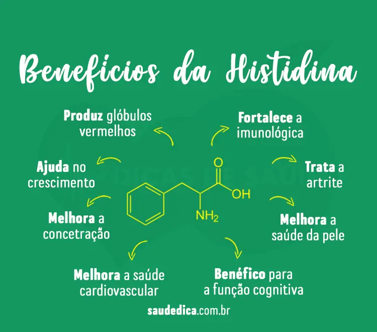 Beneficio-da-histidina
