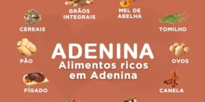 alimentos ricos em adenina