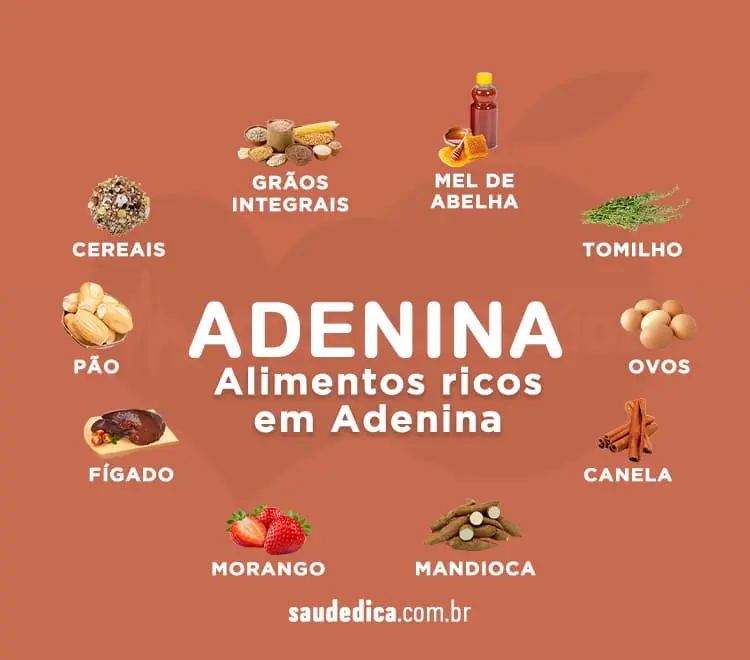 alimentos-ricos-em-adenina
