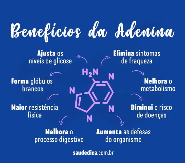 beneficios-da-adenina