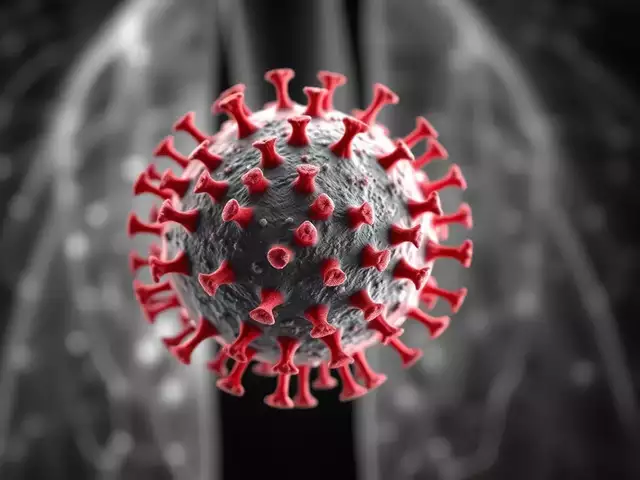 HMPV- virus na china